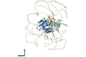 Protein Structure (PS) image for PAS Domain Containing Serine/threonine Kinase (PASK) (AA 1-1383) protein (His tag) (ABIN7564552)