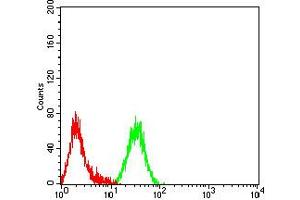 Flow cytometric analysis of Raji cells using CD268 mouse mAb (green) and negative control (red).