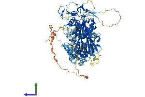 AlphaFold protein structure predicition of Mouse Recombinant Dgkg Protein, UniprotID Q91WG7 (DGKG Protein (AA 1-788) (His tag))
