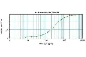 Image no. 1 for anti-Colony Stimulating Factor 2 (Granulocyte-Macrophage) (CSF2) antibody (Biotin) (ABIN464929) (GM-CSF antibody  (Biotin))