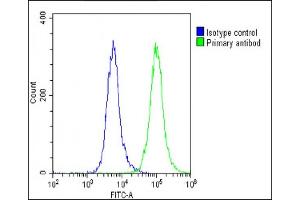 Overlay histogram showing U-87 MG cells stained with (ABIN6243047 and ABIN6578879)(green line). (APLP1 antibody  (AA 505-539))