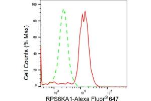 anti-Ribosomal Protein S6 Kinase, 90kDa, Polypeptide 1 (RPS6KA1) antibody