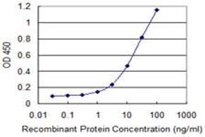 Detection limit for recombinant GST tagged NT5E is 0. (CD73 antibody  (AA 28-264))