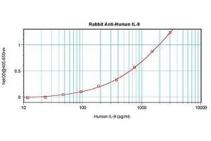 Image no. 3 for anti-Interleukin 9 (IL9) antibody (ABIN465896) (IL-9 antibody)
