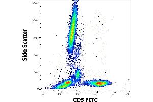 Flow cytometry surface staining pattern of human peripheral whole blood stained using anti-human CD5 (L17F12) FITC antibody (4 μL reagent / 100 μL of peripheral whole blood). (CD5 antibody  (FITC))