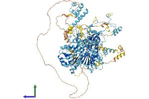 AlphaFold protein structure predicition of Mouse Recombinant Dhx8 Protein, UniprotID A2A4P0 (DHX8 Protein (AA 1-1244) (His tag))