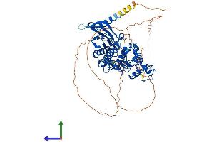AlphaFold protein structure predicition of Mouse Recombinant Cdc7 Protein, UniprotID Q9Z0H0