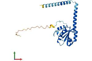 Protein Structure (PS) image for Thioredoxin Domain Containing 9 (TXNDC9) (AA 1-226) protein (His tag) (ABIN7544960)