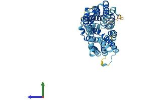 AlphaFold protein structure predicition of Human Recombinant SLC18B1 Protein, UniprotID Q6NT16 (C6orf192 Protein (AA 1-456) (His tag))