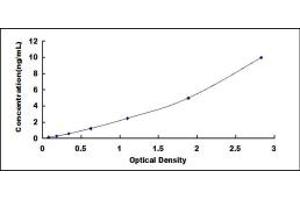 Typical standard curve (BAF53A ELISA Kit)