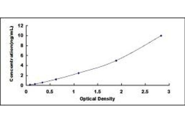 BAF53A ELISA Kit