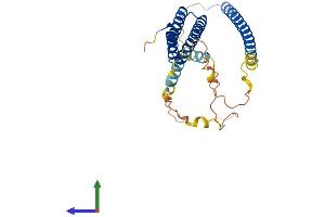 Protein Structure (PS) image for Nuclear Receptor Binding Factor 2 (NRBF2) (AA 1-287) protein (His tag) (ABIN7554779)