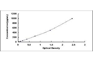 Typical standard curve (FGF8 ELISA Kit)