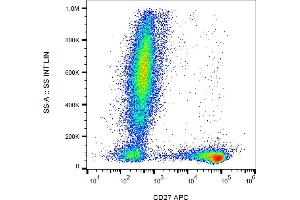 Flow cytometry analysis (surface staining) of human peripheral blood cells with anti-human CD27 (LT27) APC. (CD27 antibody  (APC))