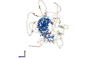 AlphaFold protein structure predicition of Human Recombinant PPP6R2 Protein, UniprotID O75170 (SAPS2 Protein (AA 1-966) (His tag))