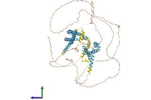 Protein Structure (PS) image for Cation Channel, Sperm Associated 1 (CATSPER1) (AA 1-780) protein (His tag) (ABIN7553586)