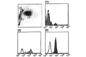 Flow Cytometry (FACS) image for anti-Cytochrome B-245, alpha Polypeptide (CYBA) antibody (FITC) (ABIN1449194) (CYBA antibody  (FITC))