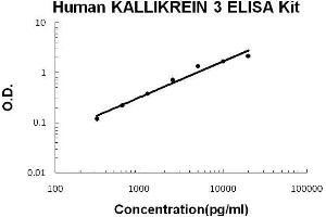 Human Kallikrein 3 PicoKine ELISA Kit standard curve (Prostate Specific Antigen ELISA Kit)