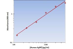 This is an example of what a typical standard curve will look like. (AGRP ELISA Kit)