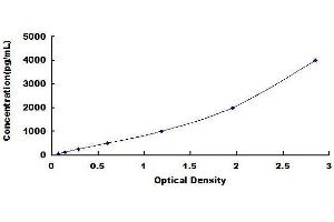 Typical standard curve (Angiopoietin 2 ELISA Kit)