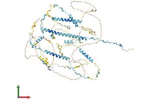 Protein Structure (PS) image for TPX2, Microtubule-Associated, Homolog (Xenopus Laevis) (TPX2) (AA 1-747) protein (His tag) (ABIN7555824)