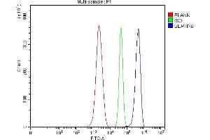Flow Cytometry analysis of ANA-1 cells using anti-SEPT6/SEPTIN6 antibody (ABIN7599390). (Septin 6 antibody  (AA 1-434))