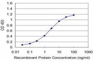 Detection limit for recombinant GST tagged MCM3 is approximately 0. (MCM3 antibody  (AA 699-808))