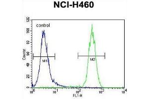 CCDC63 Antibody (C-term) flow cytometric analysis of NCI-H460 cells (right histogram) compared to a negative control cell (left histogram). (CCDC63 antibody  (C-Term))