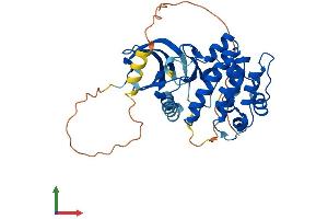Protein Structure (PS) image for Aurora Kinase B (AURKB) (AA 1-345) protein (His tag) (ABIN7562504)