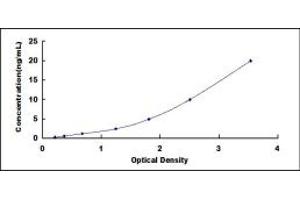 Typical standard curve (TWSG1 ELISA Kit)