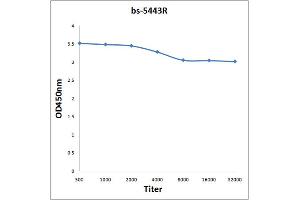 Antigen: 0. (ILK antibody  (pThr173))