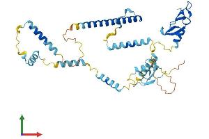 AlphaFold protein structure predicition of Mouse Recombinant Zfyve19 Protein, UniprotID Q9DAZ9 (ZFYVE19 Protein (AA 1-389) (His tag))