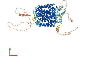 AlphaFold protein structure predicition of Mouse Recombinant Slc2a12 Protein, UniprotID Q8BFW9