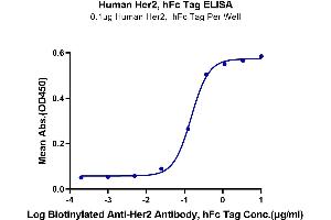 Immobilized Human Her2 at 1 μg/mL (100 μL/well) on the plate. (ErbB2/Her2 Protein (AA 23-652) (Fc Tag))
