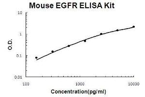 Mouse EGFR PicoKine ELISA Kit standard curve (EGFR ELISA Kit)