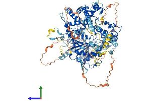 Protein Structure (PS) image for 5'-3' Exoribonuclease 2 (XRN2) (AA 1-950) protein (His tag) (ABIN7556047)