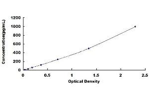 Typical standard curve (ADAMTS5 ELISA Kit)