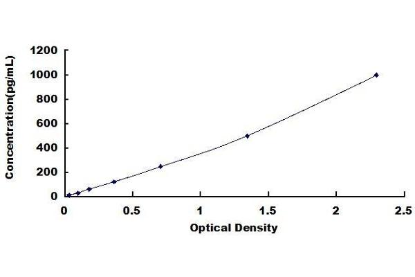 ADAMTS5 ELISA Kit