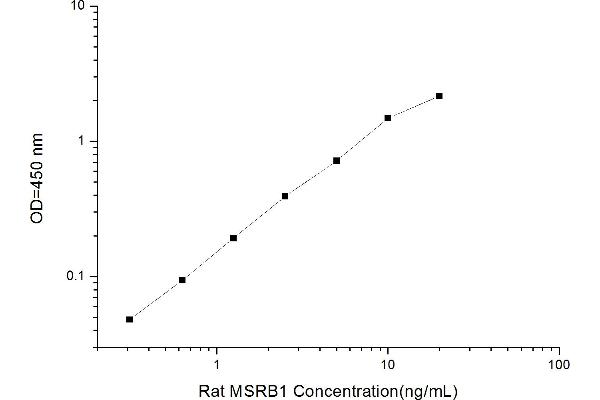 MSRB1 ELISA Kit