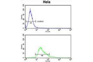 Flow Cytometry (FACS) image for anti-Glutathione Peroxidase 1 (GPX1) (AA 169-199), (C-Term) antibody (ABIN952538)