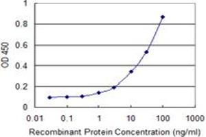 Detection limit for recombinant GST tagged VAT1 is 0. (VAT1 antibody  (AA 294-392))