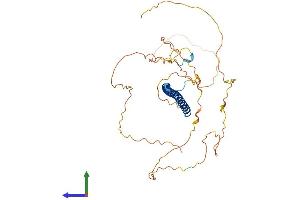 AlphaFold protein structure predicition of Mouse Recombinant Fos Protein, UniprotID P01101 (c-FOS Protein (AA 1-380) (His tag))