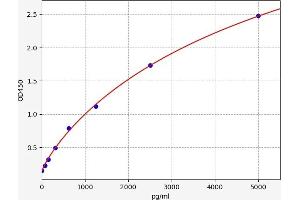Typical standard curve (VIPR2 ELISA Kit)