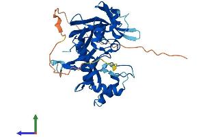 AlphaFold protein structure predicition of Human Recombinant RPUSD3 Protein, UniprotID Q6P087 (RPUSD3 Protein (AA 1-351) (His tag))