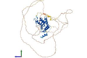 AlphaFold protein structure predicition of Human Recombinant MBD4 Protein, UniprotID O95243 (MBD4 Protein (AA 1-580) (His tag))
