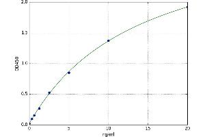 Poly (ADP-Ribose) Polymerase 2 (PARP2) ELISA Kit