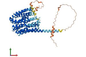 AlphaFold protein structure predicition of Human Recombinant SLC16A5 Protein, UniprotID O15375 (SLC16A5 Protein (AA 1-505) (His tag))