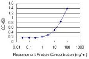 Detection limit for recombinant GST tagged LOC402176 is 1 ng/ml as a capture antibody. (RPL21P44 antibody  (AA 1-136))