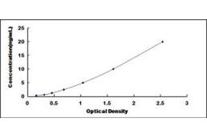 Typical standard curve (C1orf85 ELISA Kit)