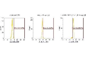 Flow Cytometry (FACS) image for anti-Cofilin 1 (CFL1) (AA 1-166) antibody (PE) (ABIN5567003) (Cofilin antibody  (AA 1-166) (PE))